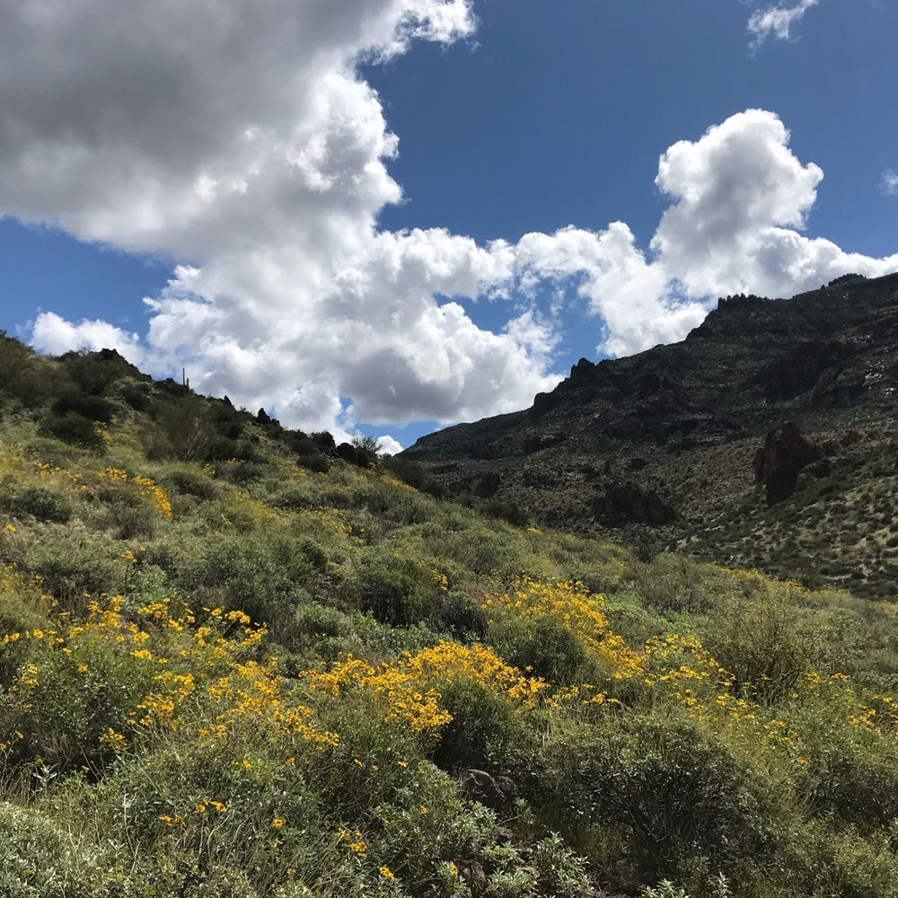 Meet your Posher, M!